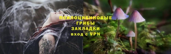 мдпв Зеленокумск