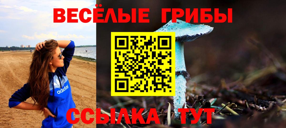 Галлюциногенные грибы MAGIC MUSHROOMS  Вход с VPN  Галлюциногенные грибы Magic Shrooms  Спасск-Дальний 